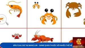 Bầu Cua Live Tại Manclub - Game Quen Thuộc Với Nhiều Thế Hệ