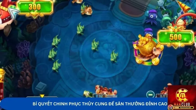 Bí quyết chinh phục Thủy cung để săn thưởng đỉnh cao
